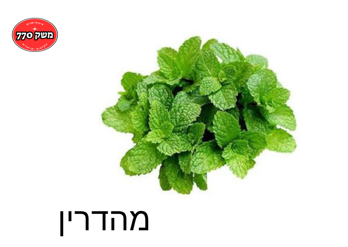 מארז נענע *מהדרין*