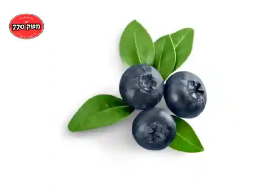 3 מארזי אוכמניות ב49.9 ש