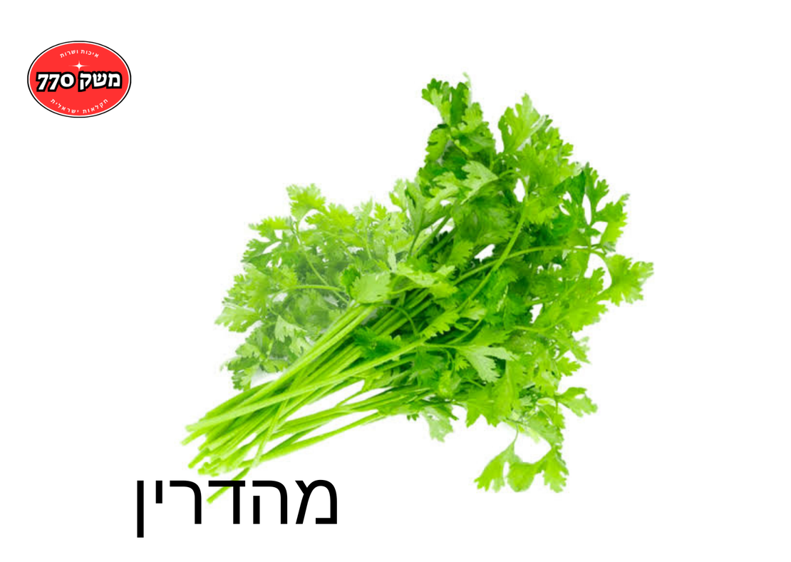 מארז כוסברה *מהדרין*