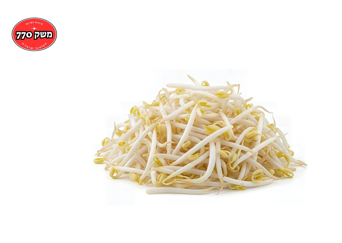 מארז נבטים סינים