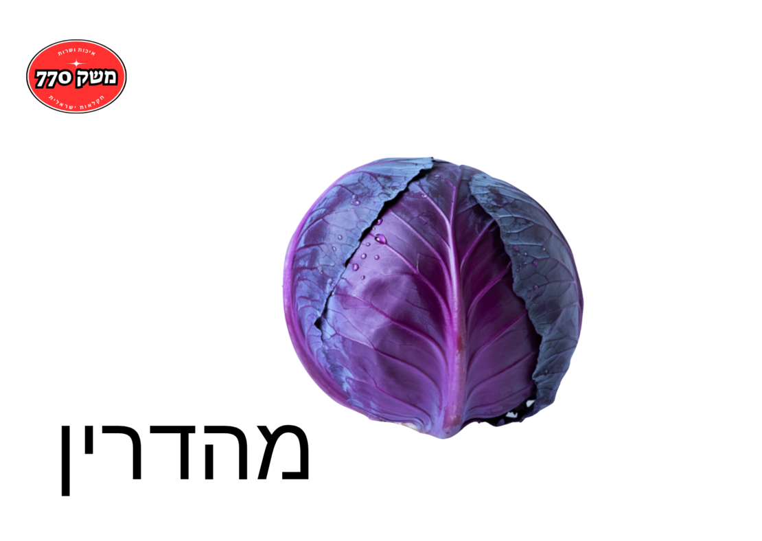 מארז כרוב סגול מהדרין