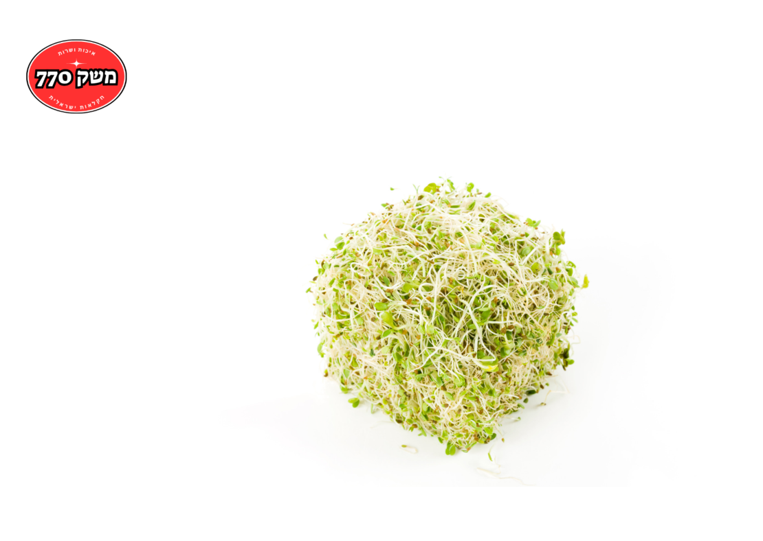 מארז נבטי אלפלפא