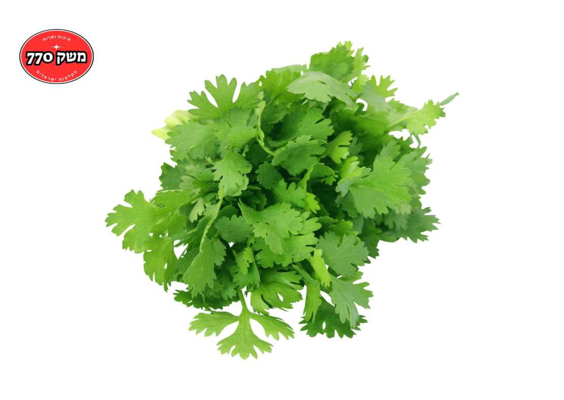 מארז כוסברה ארוז