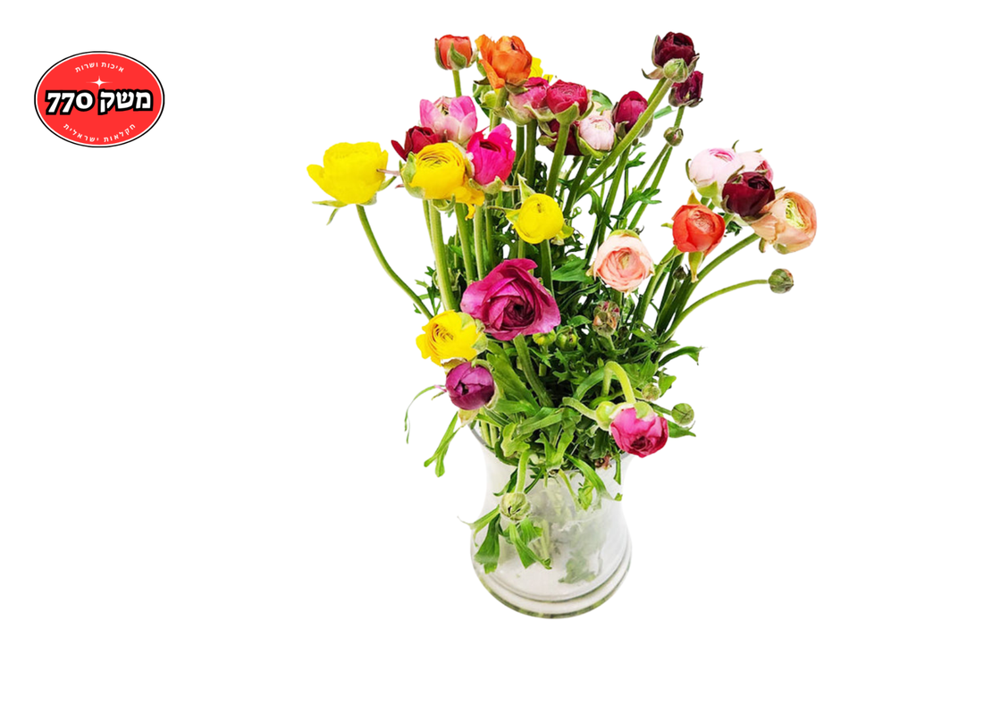 זר 20 נוריות צבעוניות