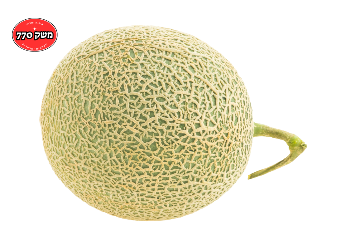 מלון (שוקל בין 1-1.4 קילו)