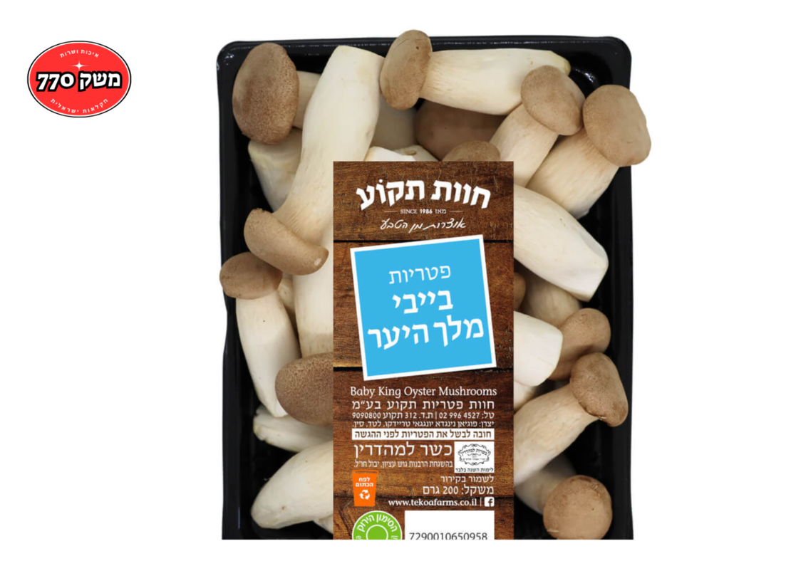 פטריות בייבי מלך היער