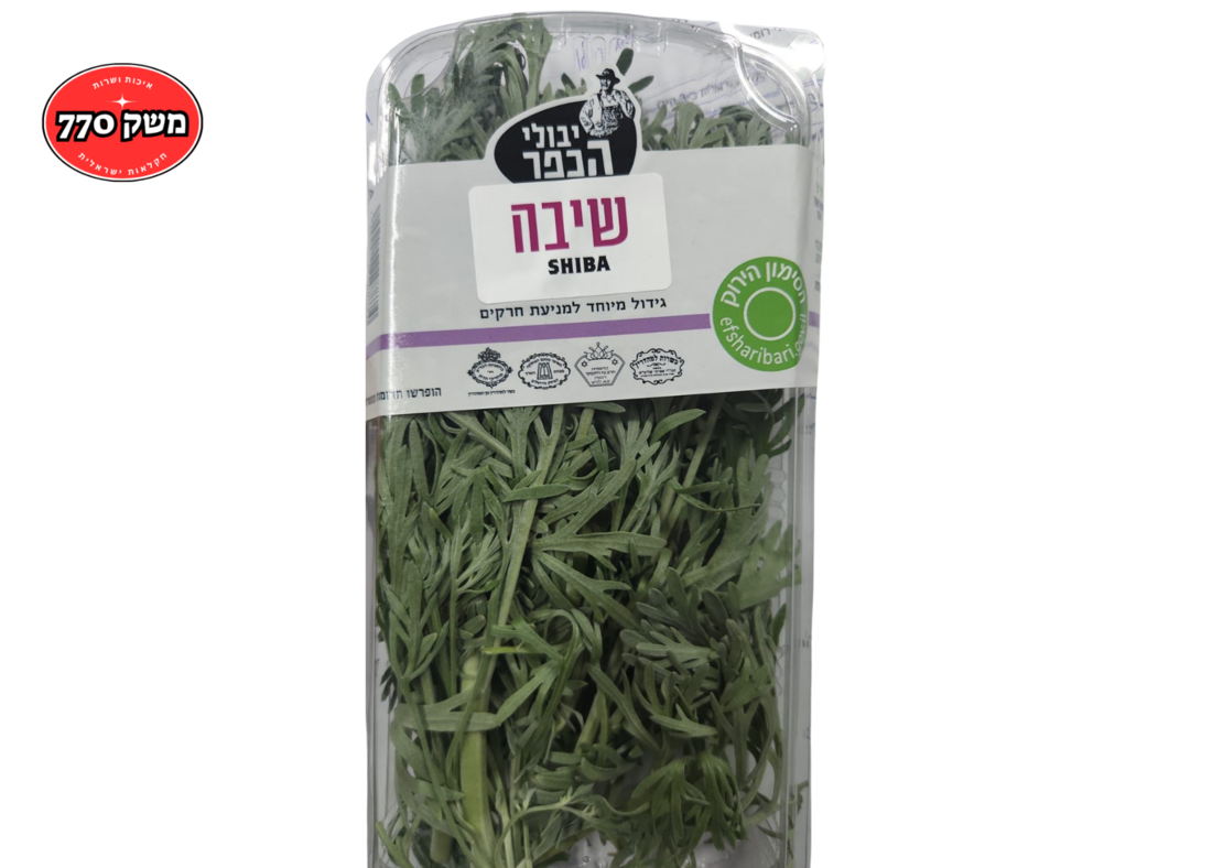 מארז שיבא מהדרין