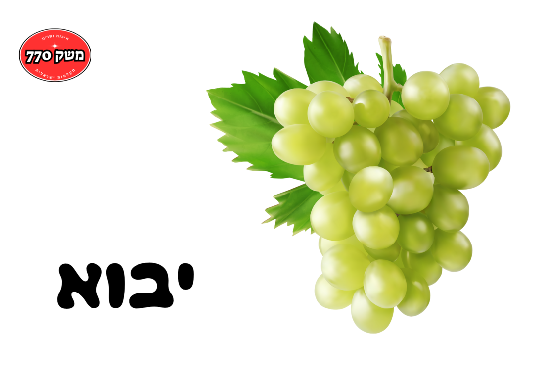מארז ענב לבן מתוק כ1 קילו