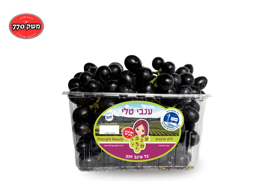 מארז ענבי טלי (סייבל) מתוק כ-1 קילו