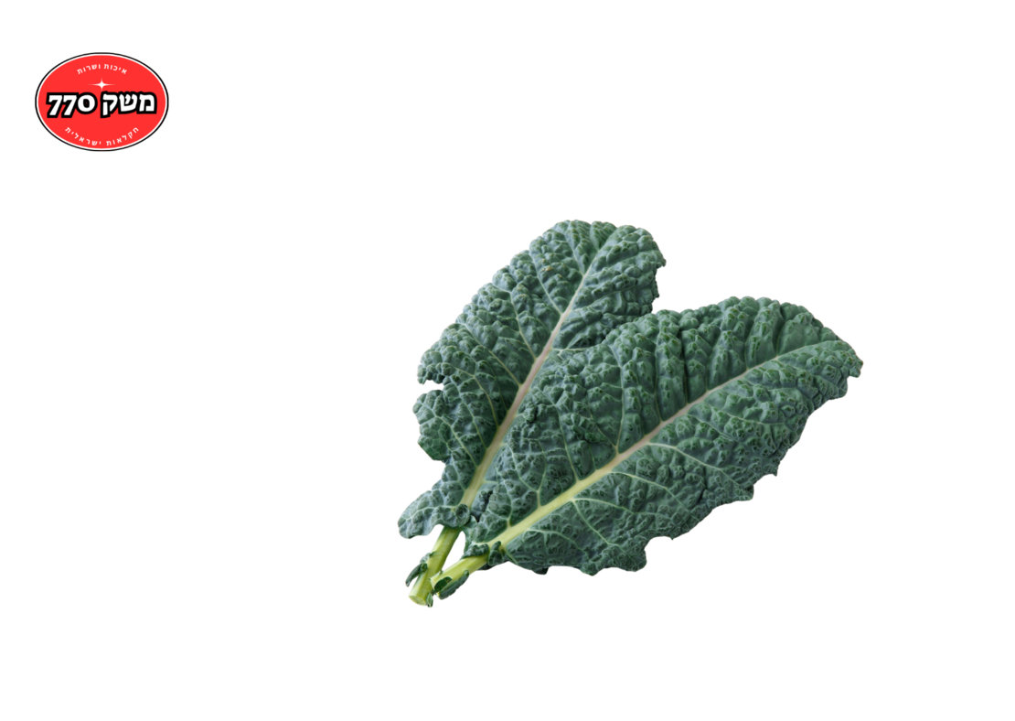 מארז עלי קייל