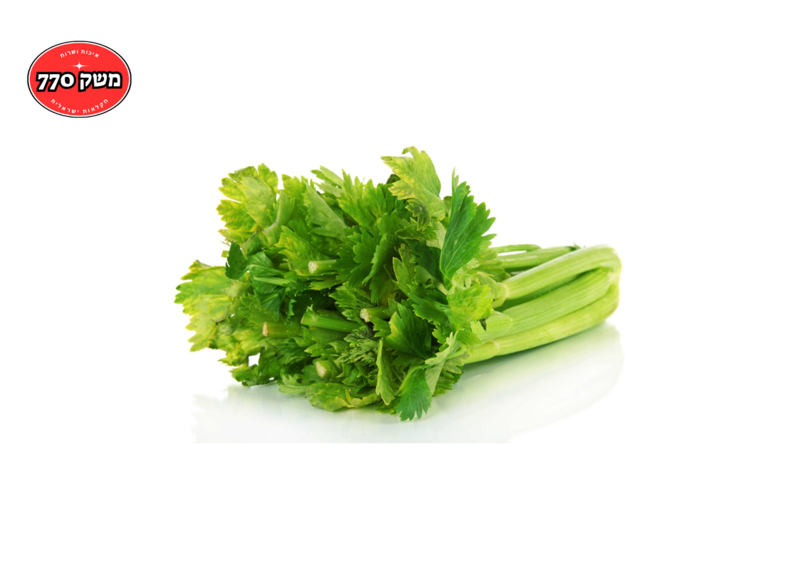 מארז סלרי *מהדרין*