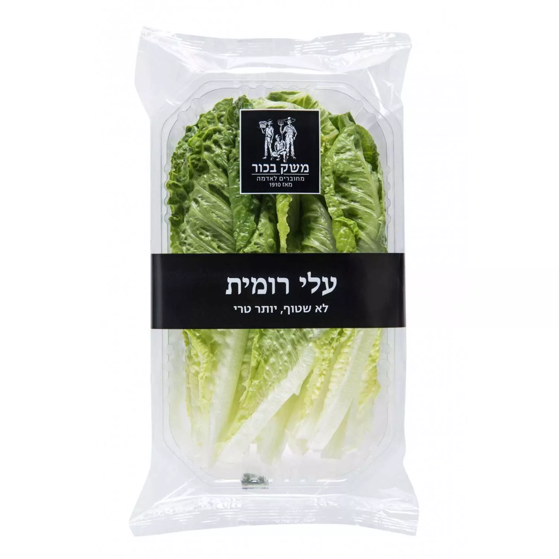 עלי רומית
