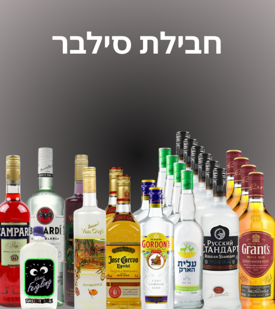 חבילת סילבר
