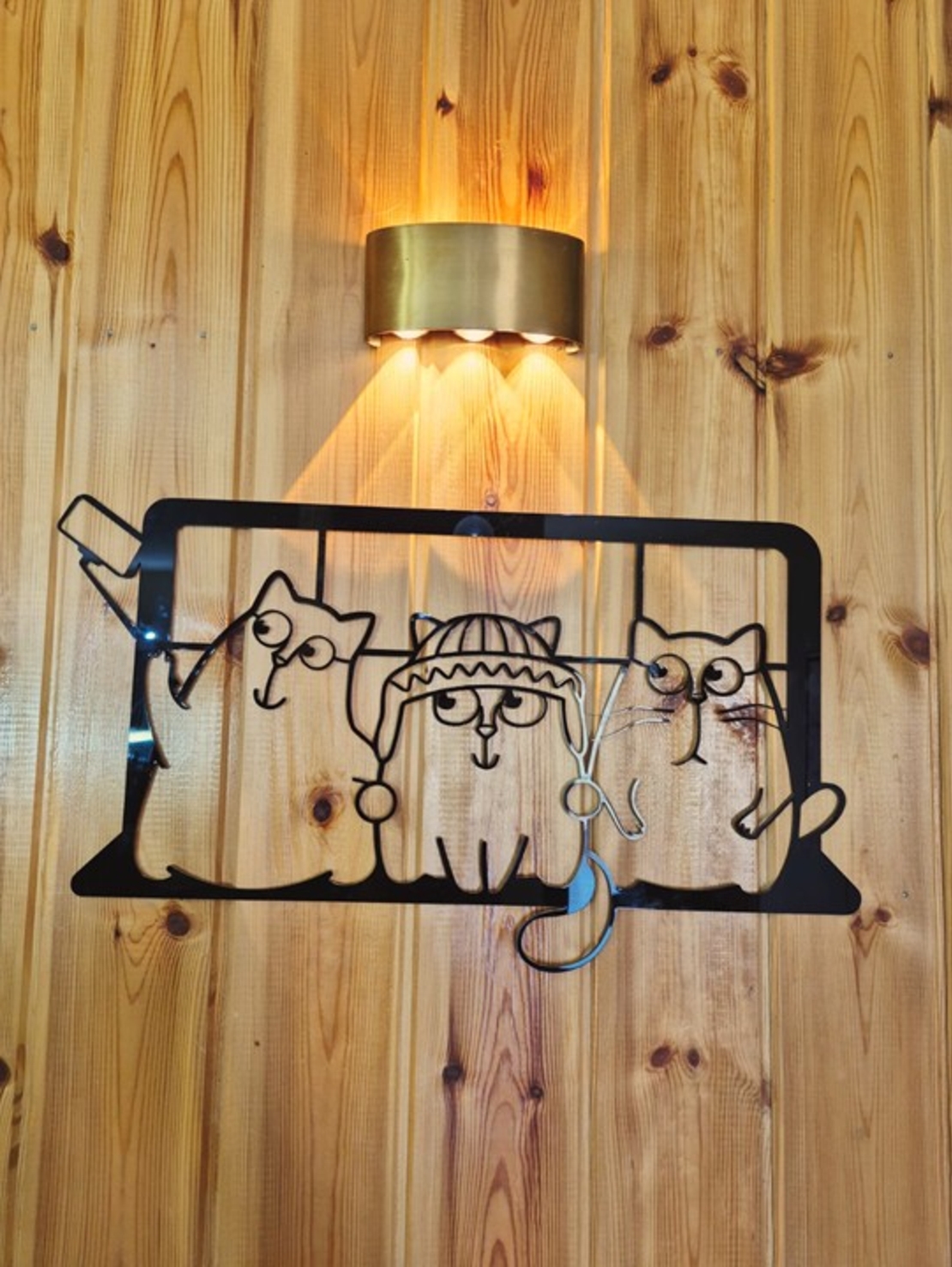 القطط المرحة