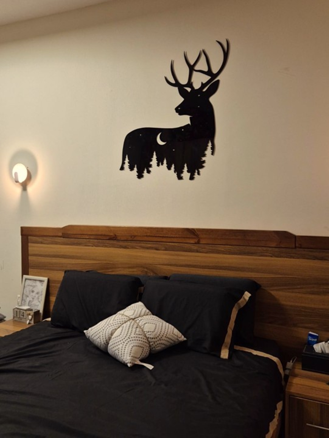 غزال اللّيل