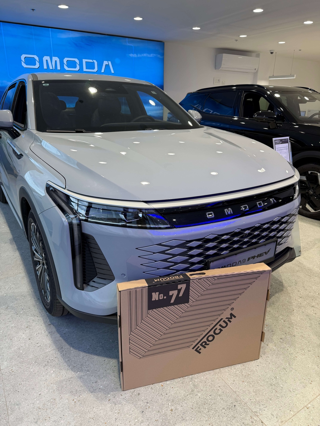 שטיחי 3D לאומודה 9 2026 ומעלה NO77