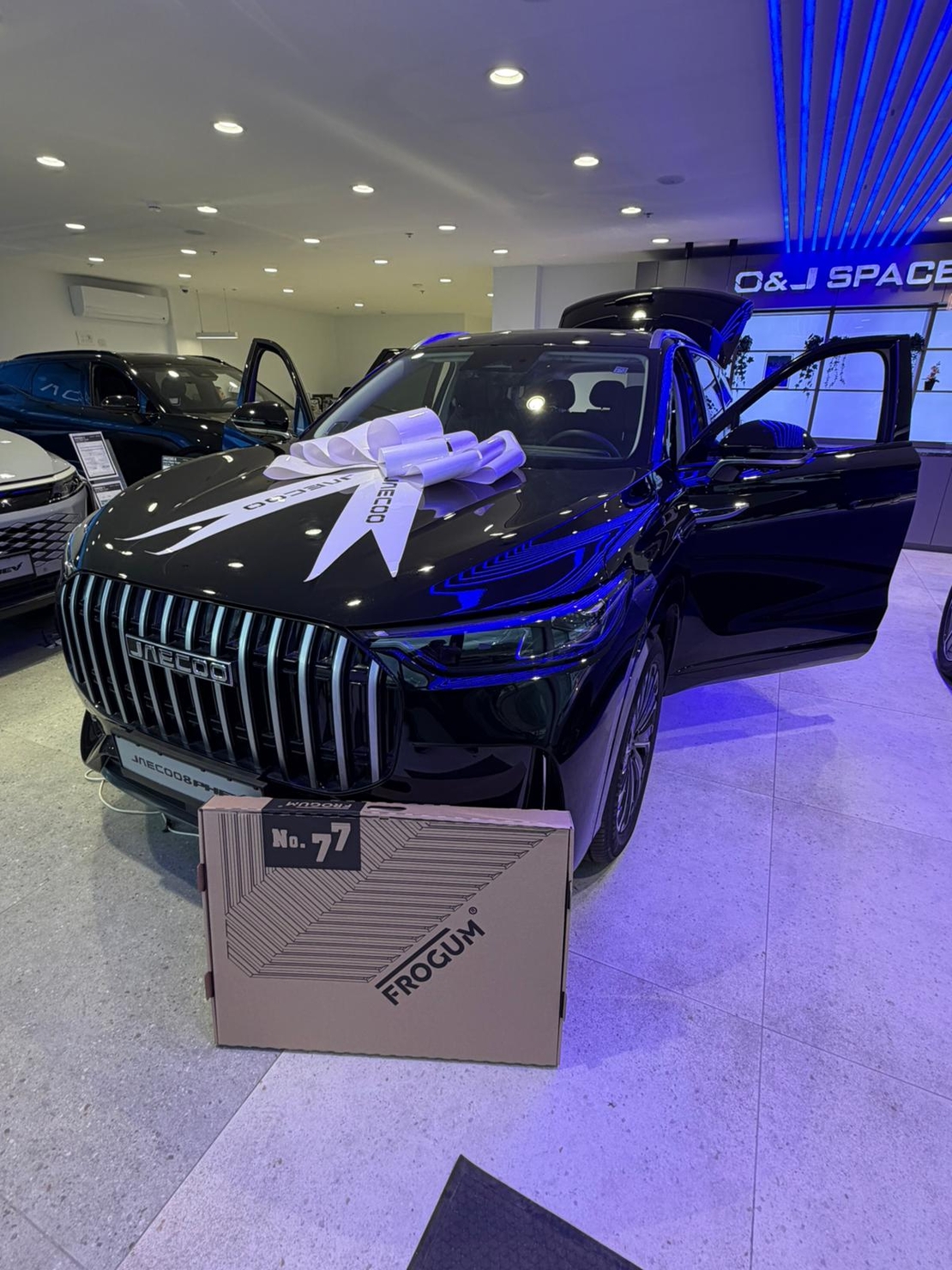 שטיחי 3D לגאקו 8 2025 ומעלה NO77