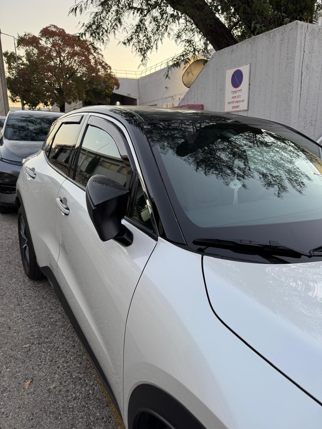 מגני רוח השחלה ללקסוס LBX 2023 ומעלה