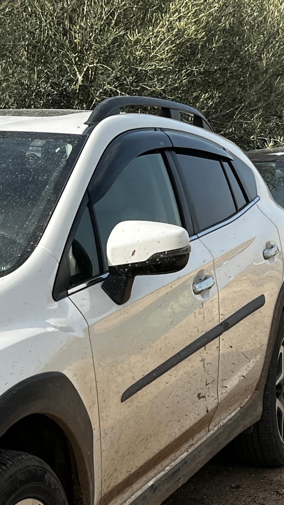 מגני רוח OEM לסובארו XV 2018-2023