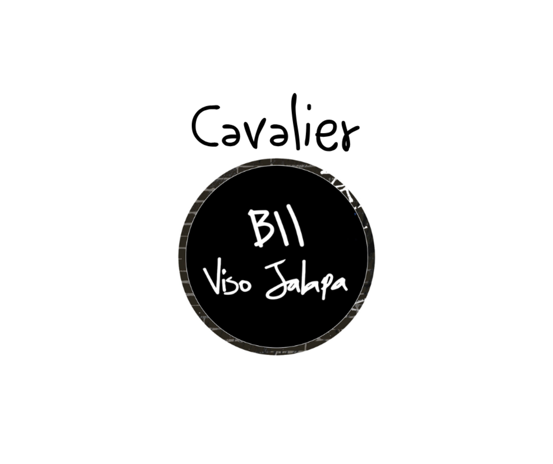 Cavalier Genève BII Viso Jalapa Robusto Gordo