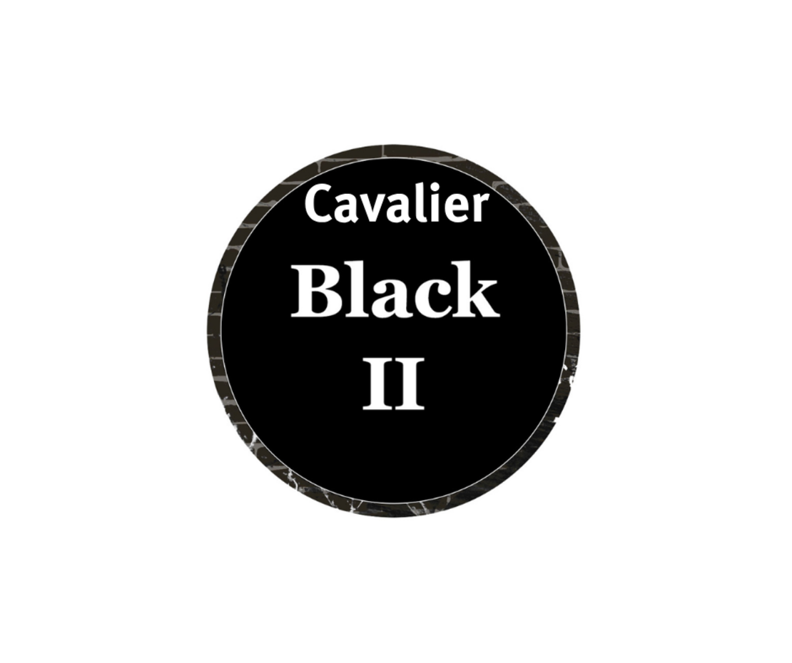 Cavalier Genève Black II Petit N°2