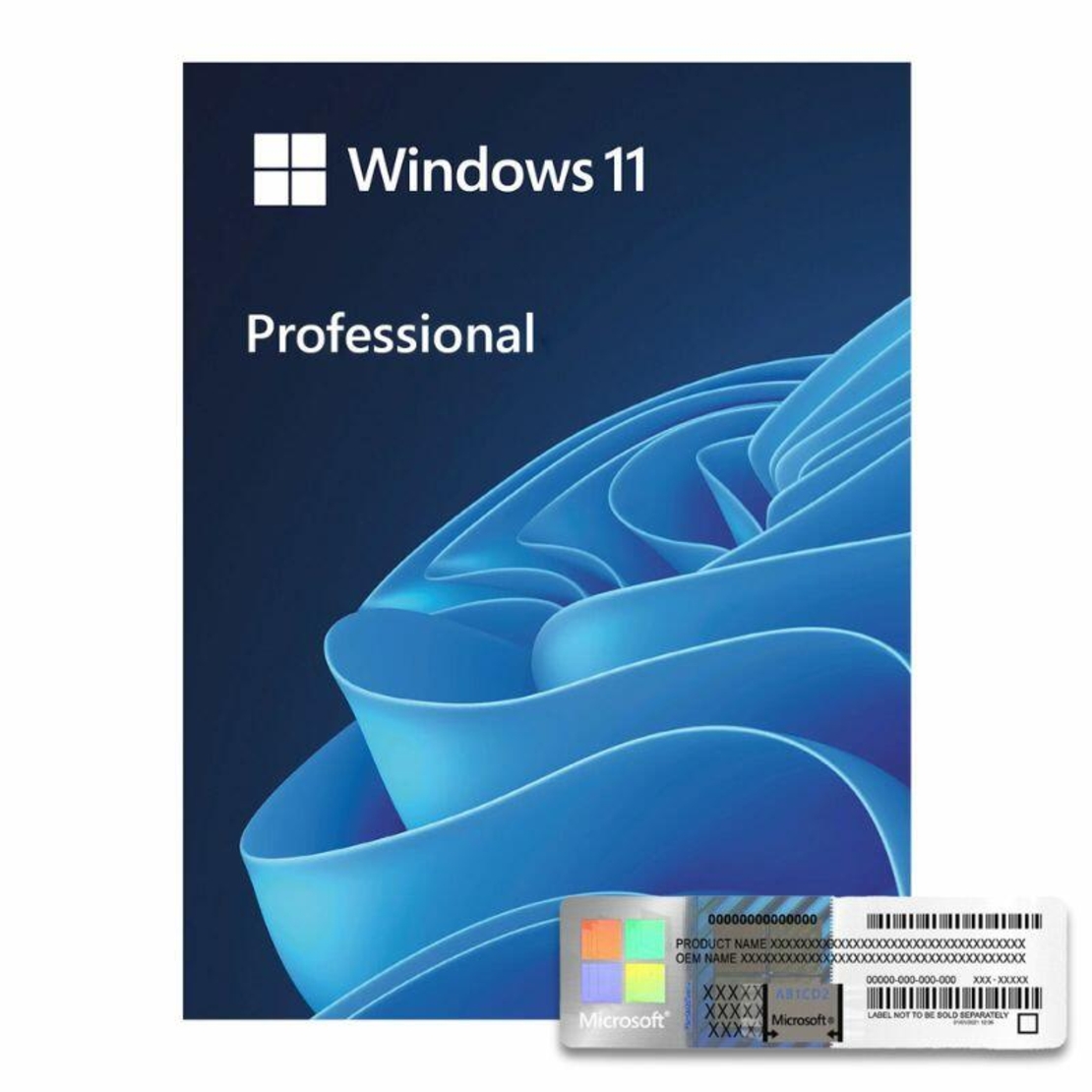 Windows 11 Pro Oem