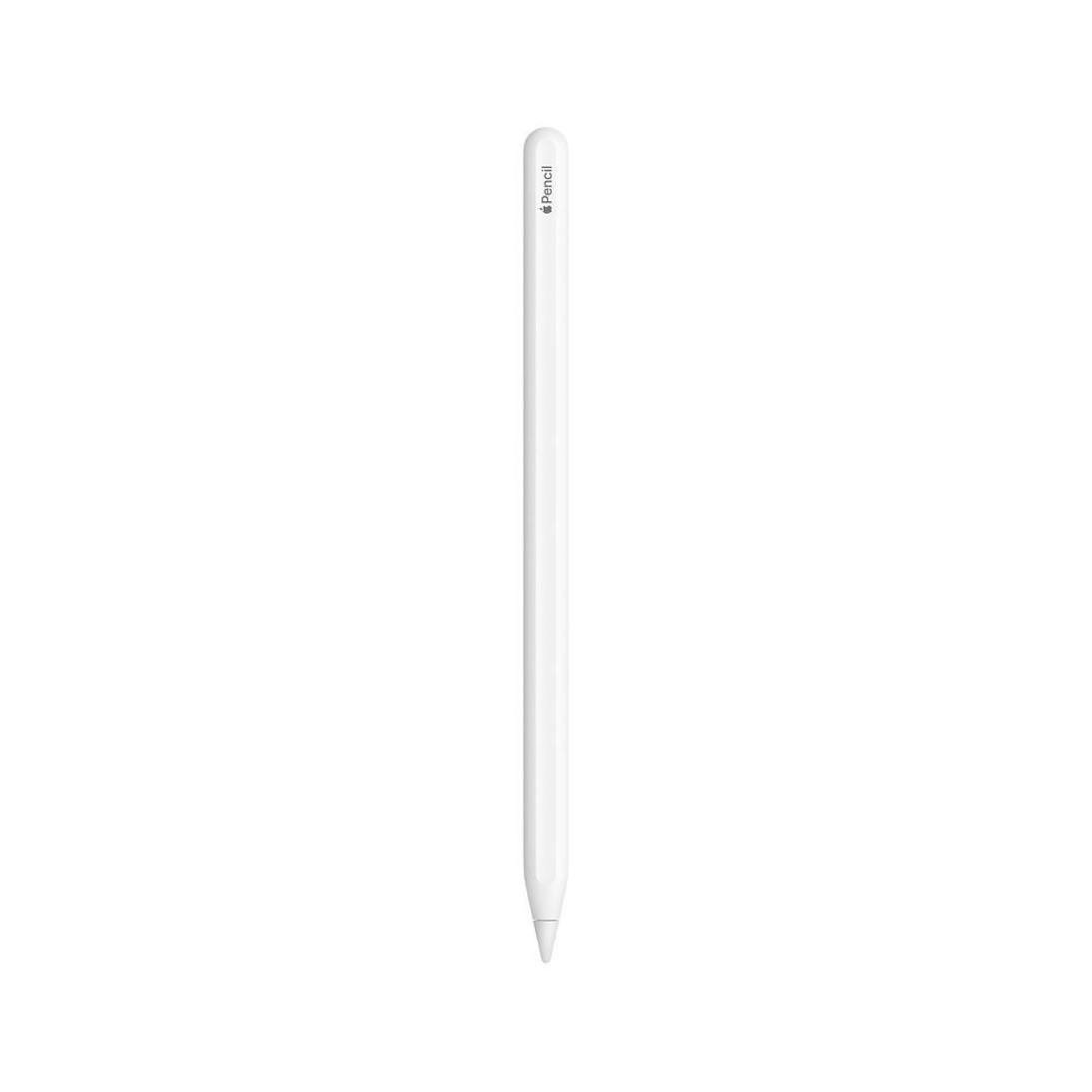 עט מקורי Apple Pencil (2nd Generation)