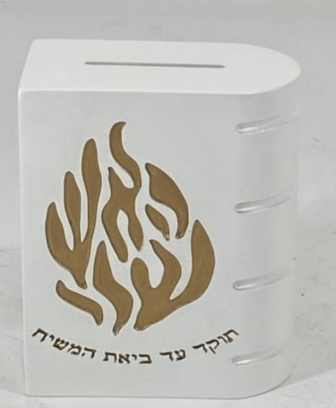 קופת צדקה ״האש שלי״