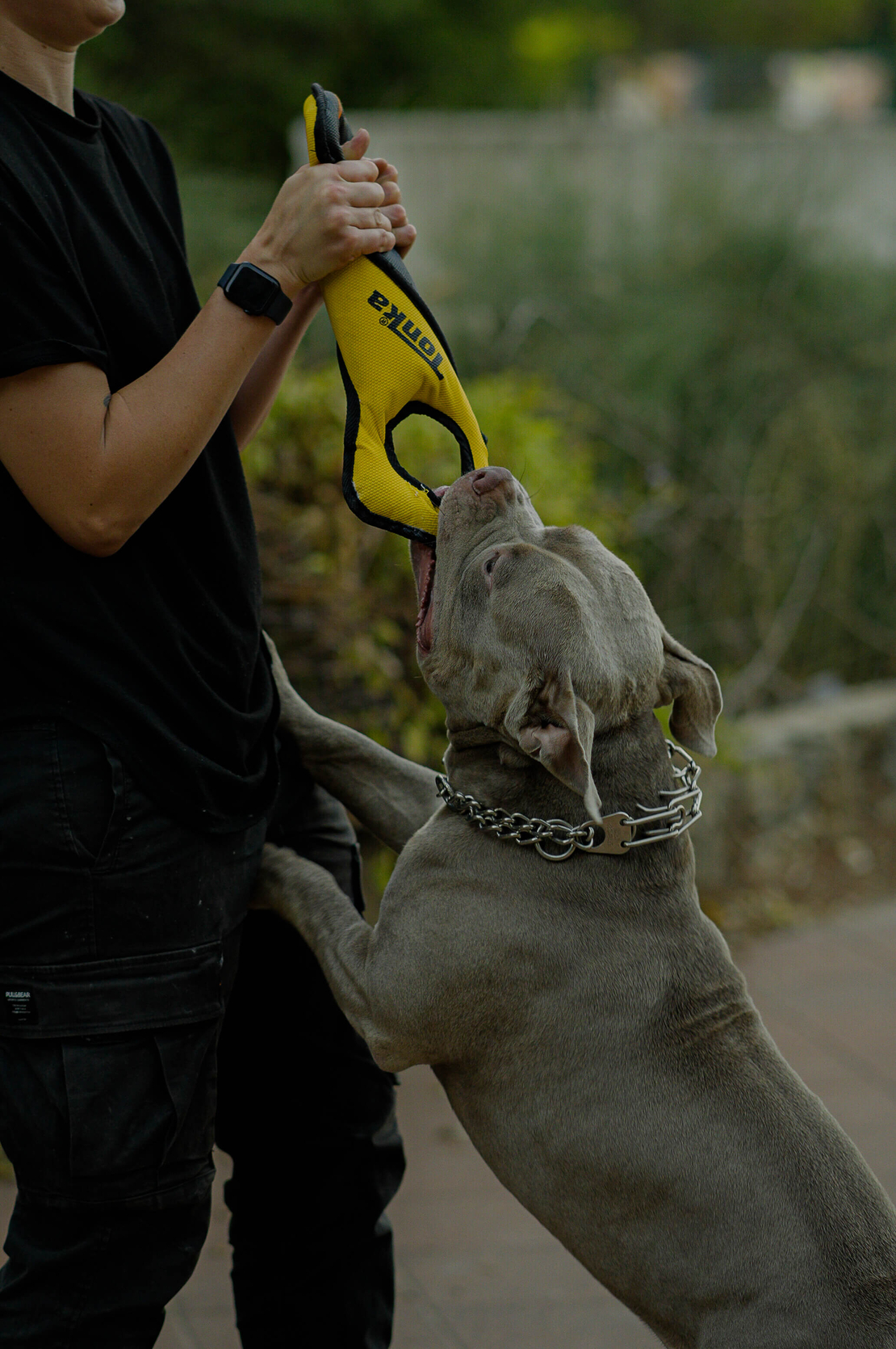 Tonka Tough Infinity Tug – למשחקי משיכה ולעיסה Tonka Tough Infinity Tug – למשחקי משיכה ולעיסה