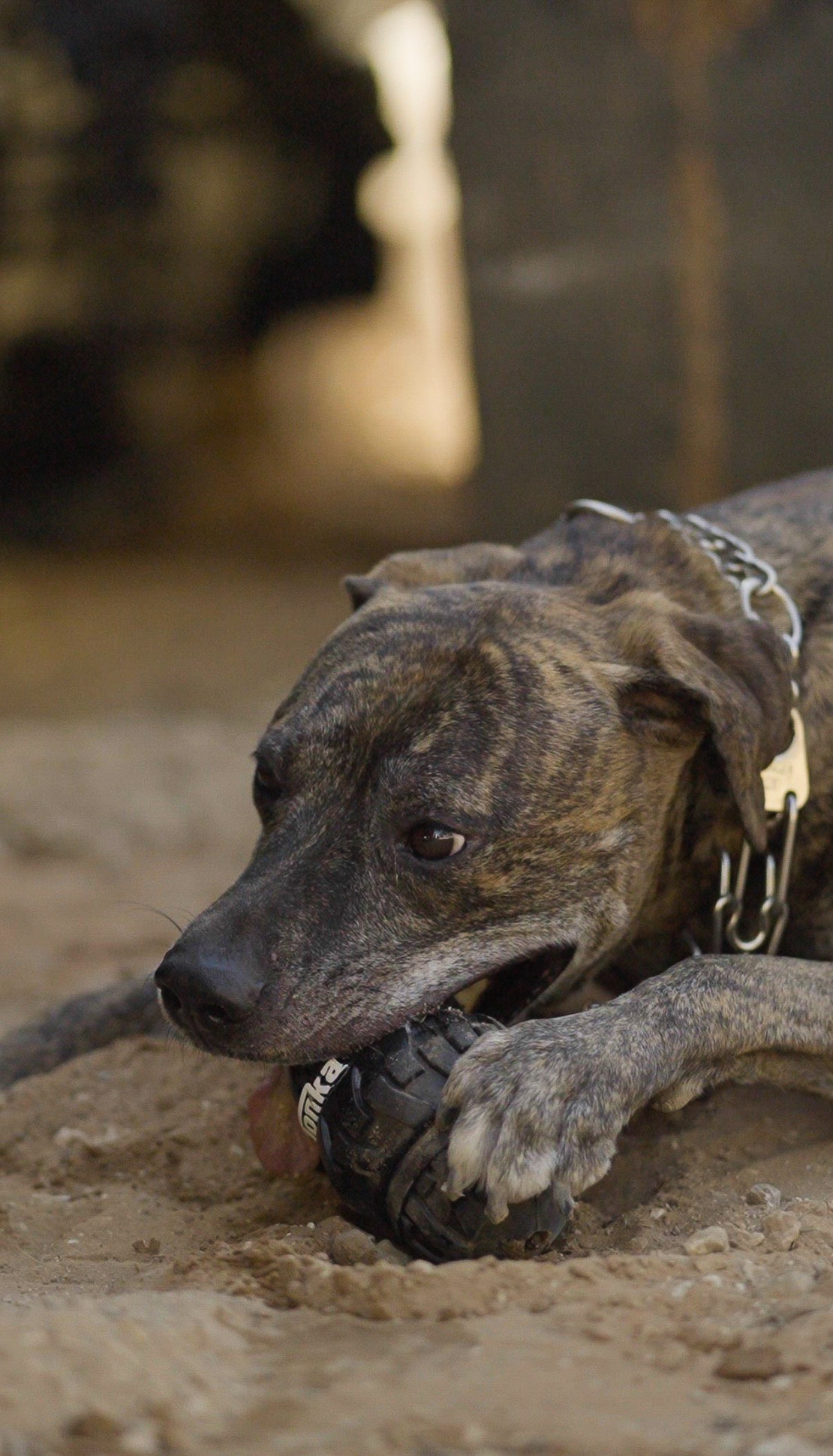 Tonka Tri-Stack Feeder