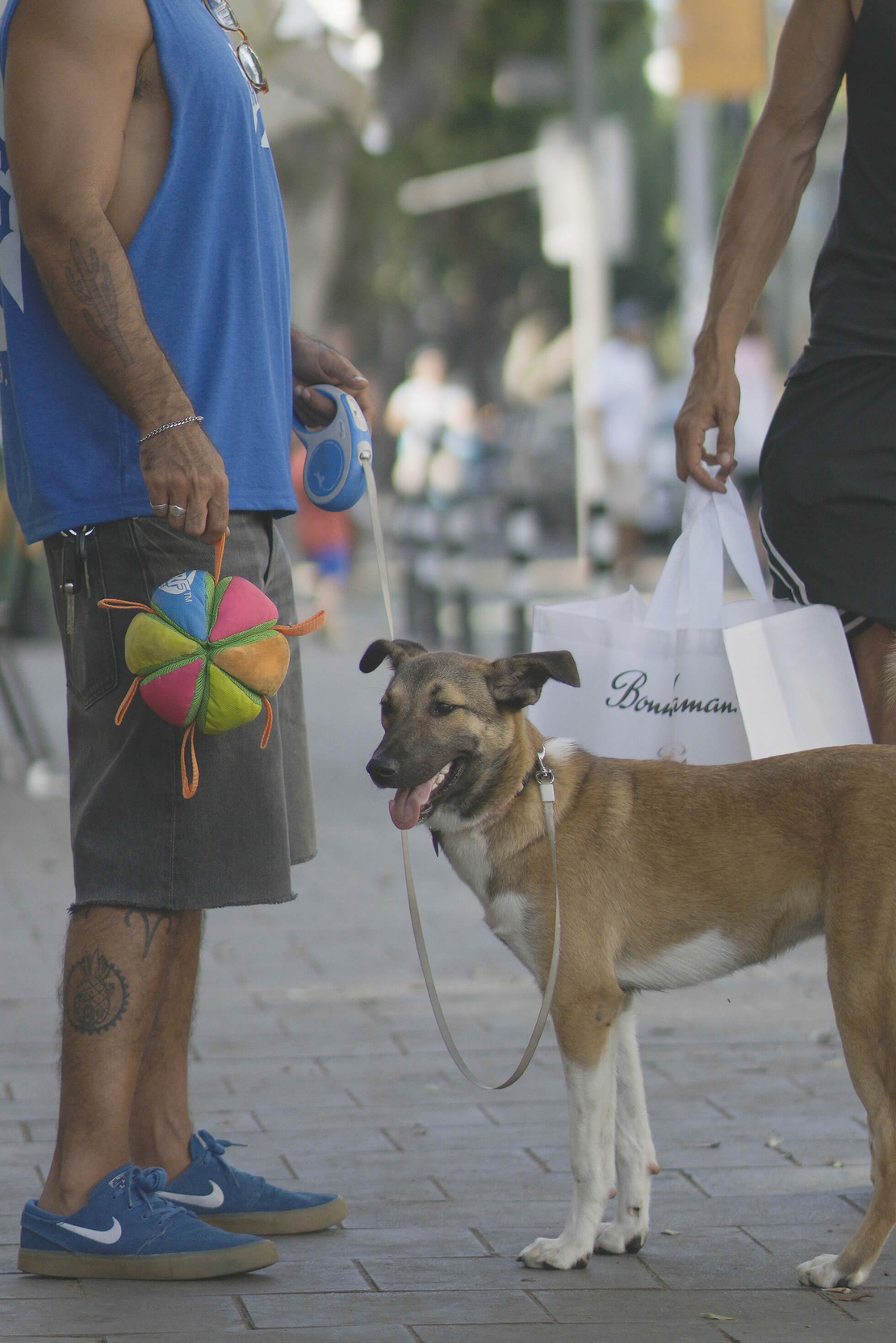 כדור רצועות ומרקמים צבעוני NERF כדור רצועות ומרקמים צבעוני NERF