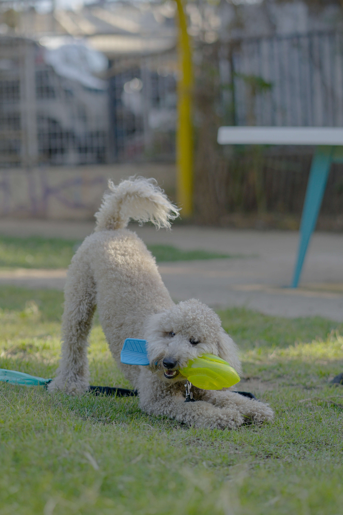 משחק וורטקס NERF זוהר בחושך משחק וורטקס NERF זוהר בחושך