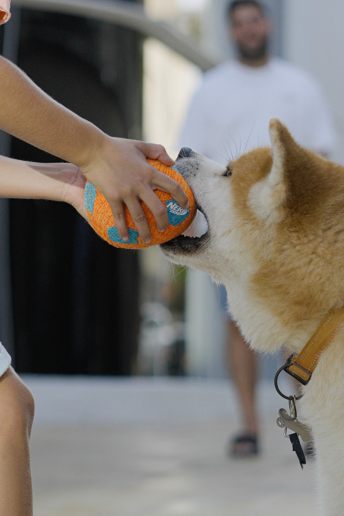 כדורגל לעיס ומצייץ מחומר נעים