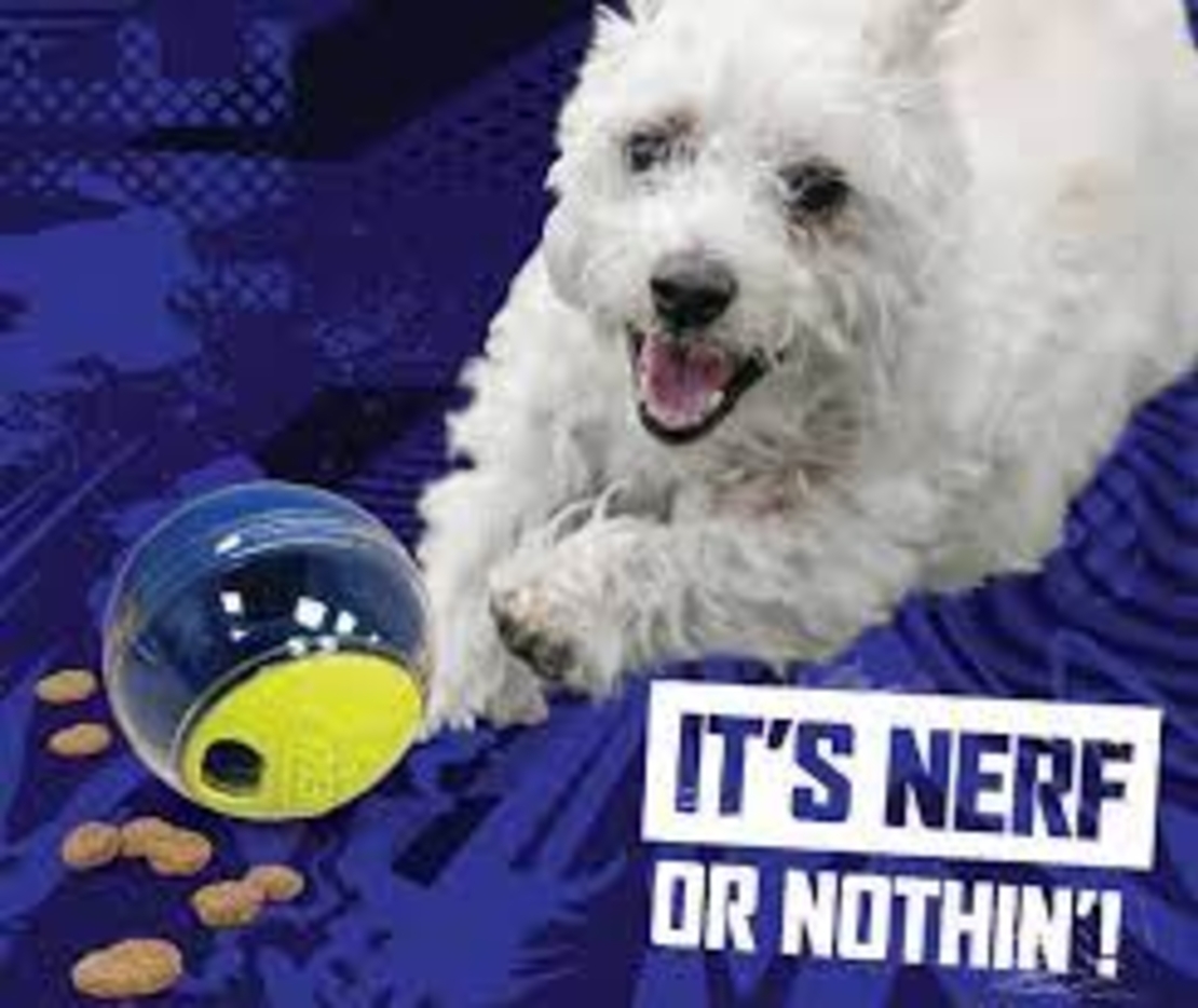 כדור משחק האכלה - NERF SLOW FEEDER