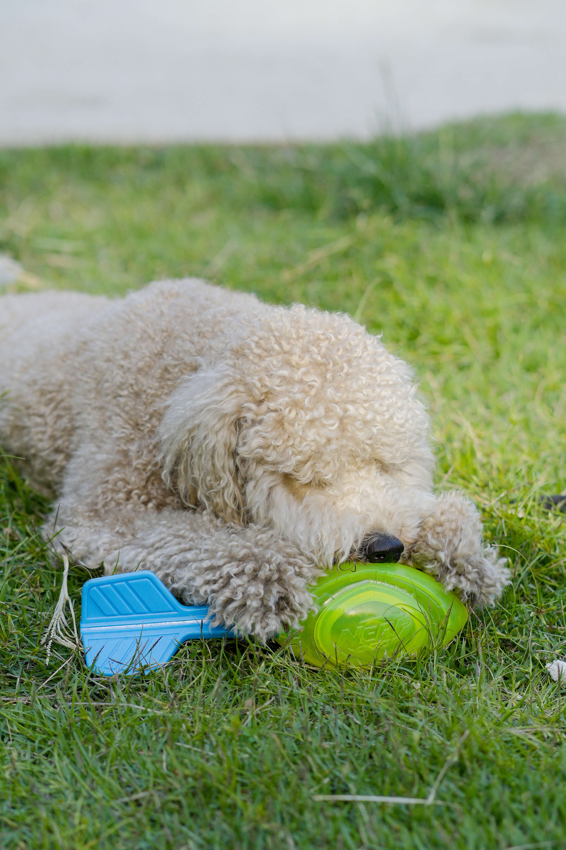 משחק וורטקס NERF זוהר בחושך משחק וורטקס NERF זוהר בחושך