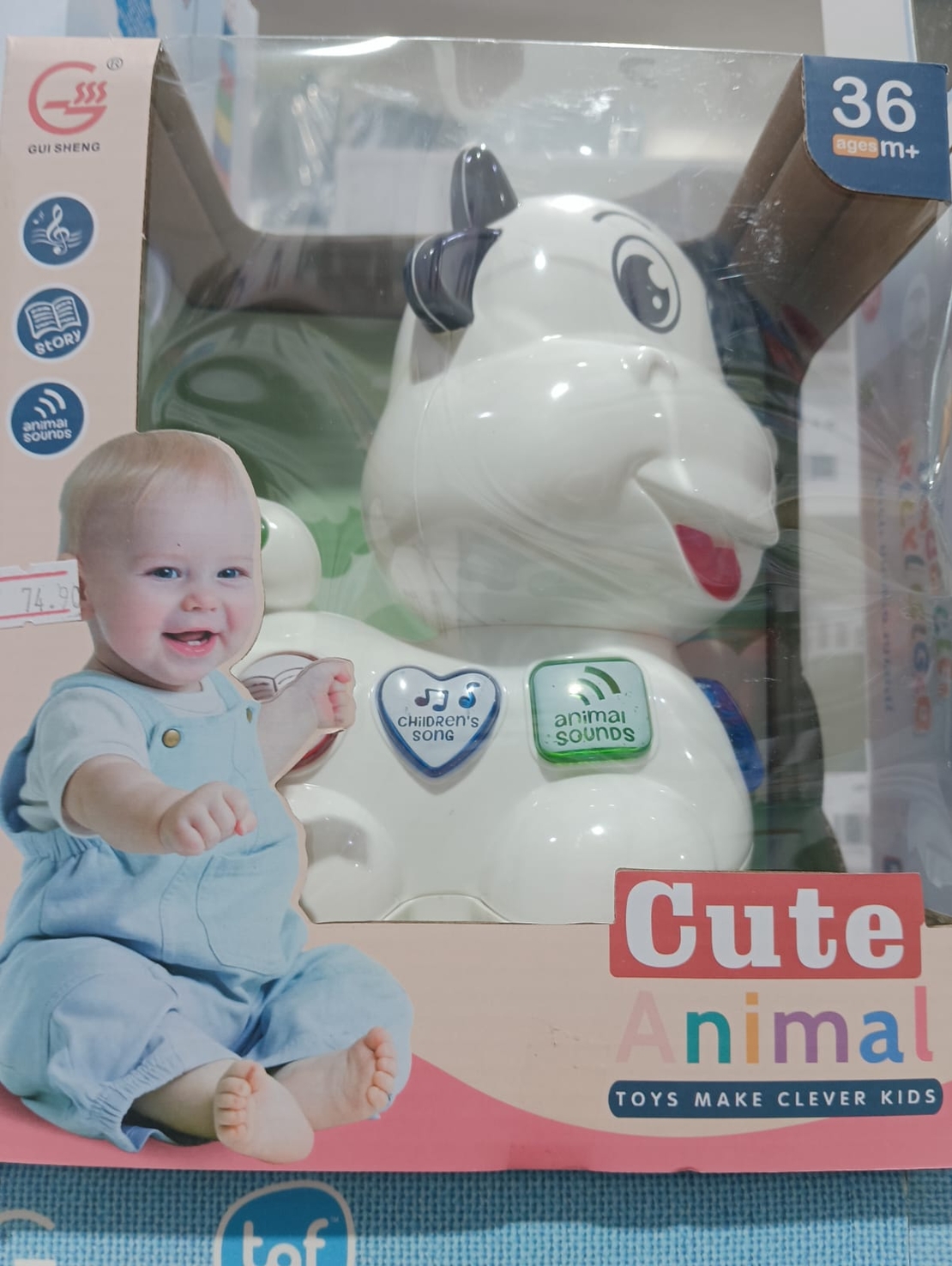 cute animal