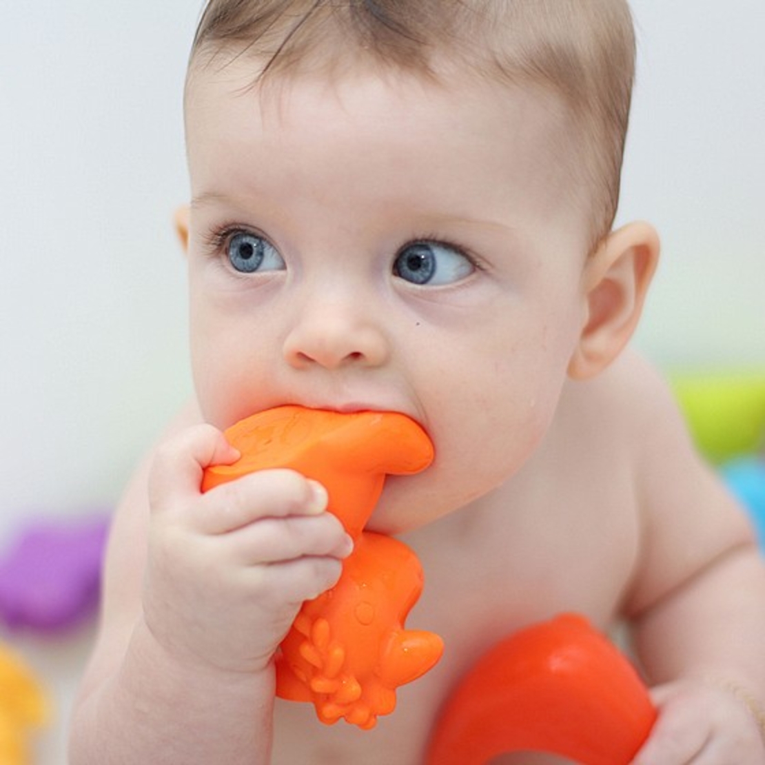 דמויות ג'ונגל לאמבטיה 8 יחידות פלייגרו PLAYGRO