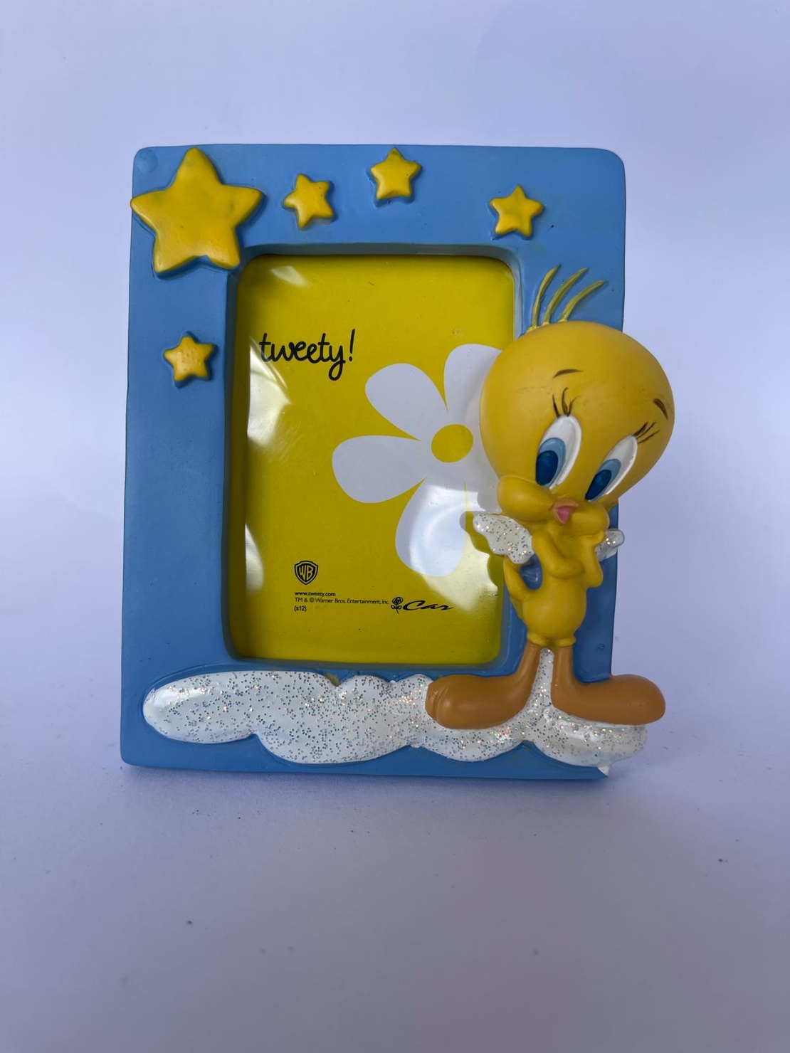 מסגרת תמונה רשמית של הציפור טוויטי (Tweety Bird) מבית האחים וורנר (Warner Bros). המסגרת עשויה משרף (Resin) איכותי ועמיד וכוללת עיצוב תלת-ממדי.