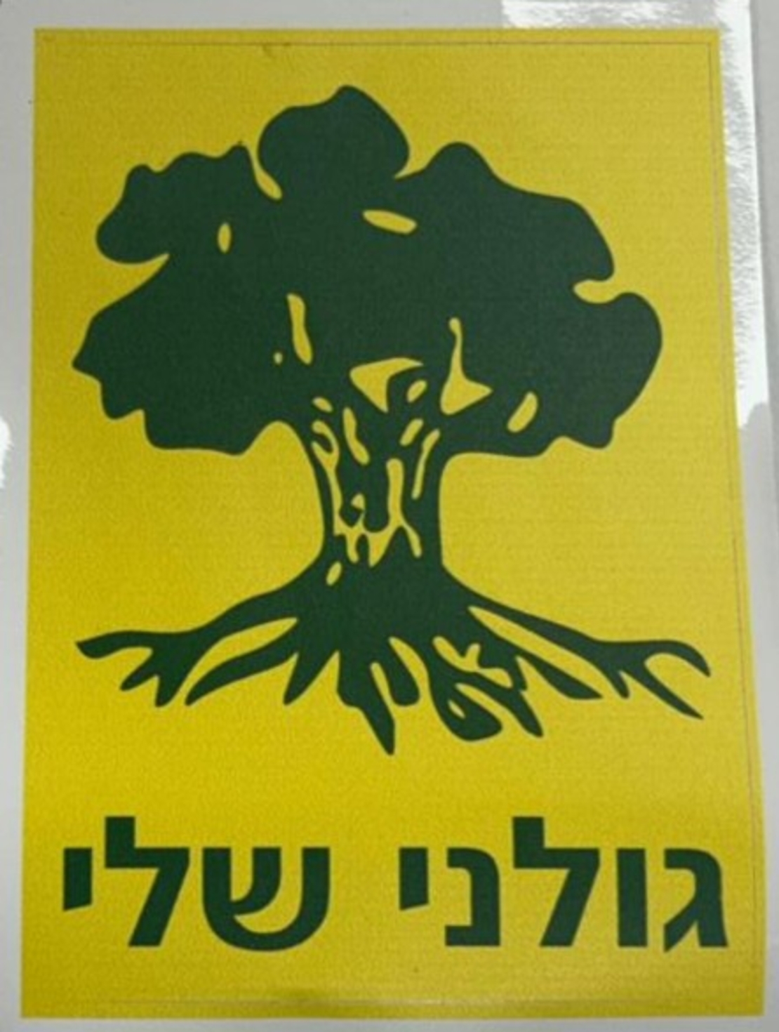 מדבקה גולני שלי