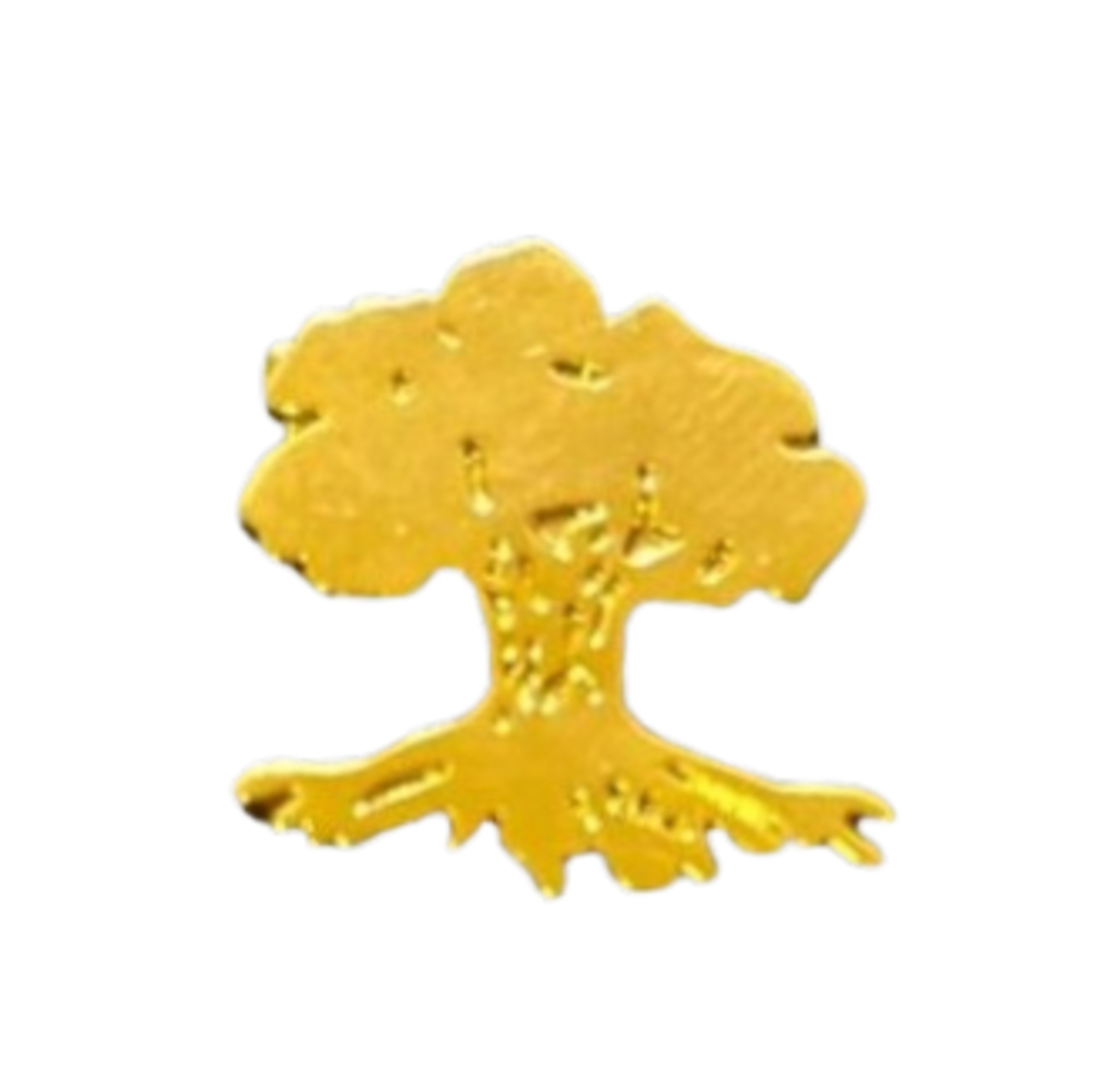 סיכת דש עץ גולני