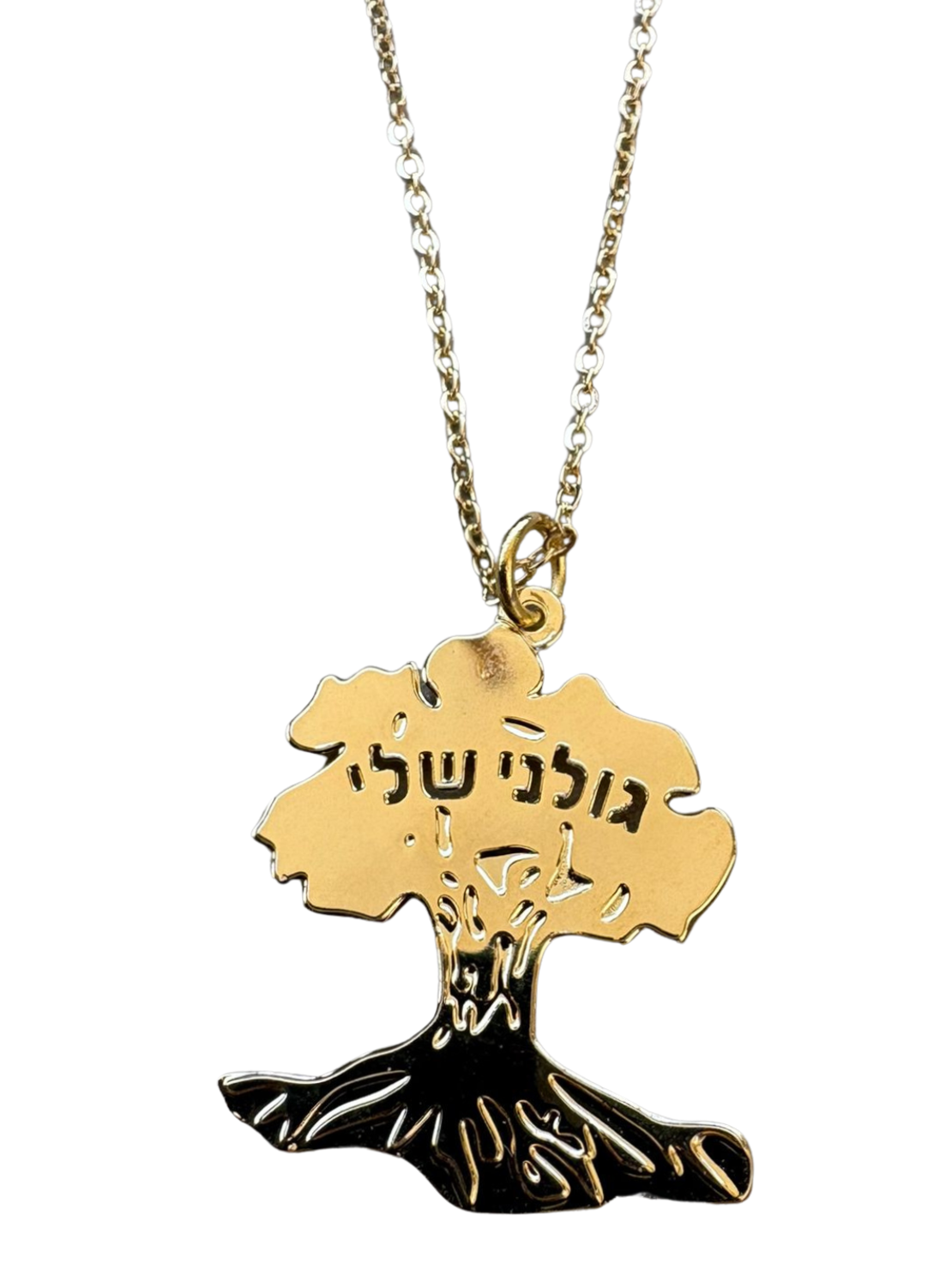 שרשרת - גולני שלי