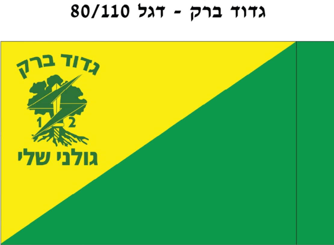 דגל - גדוד 12