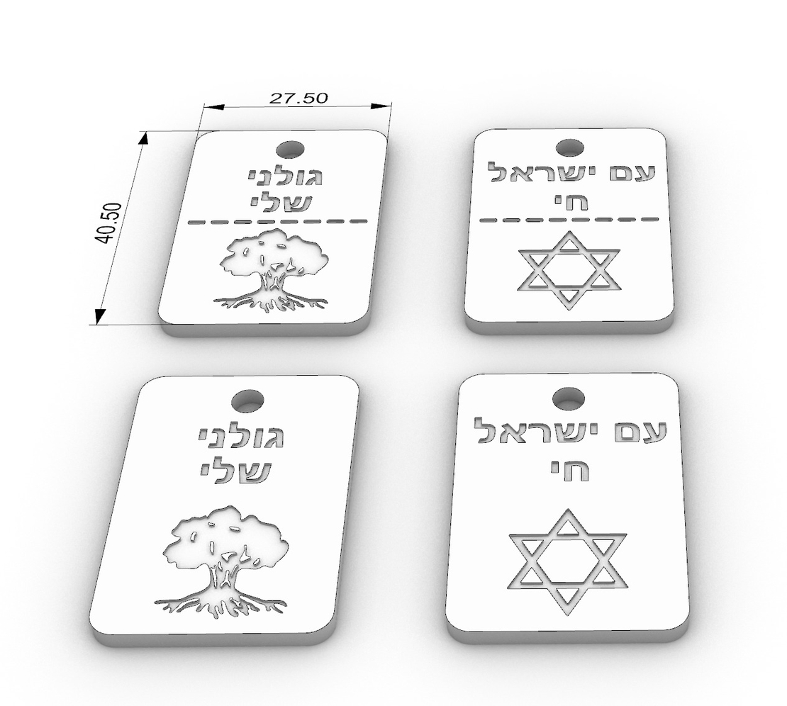 דיסקית גולני שלי (דו צדדי)