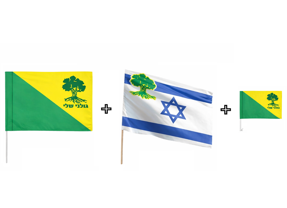 3 דגלים ב 100 - ערכת יום העצמאות - מבצע לזמן מוגבל