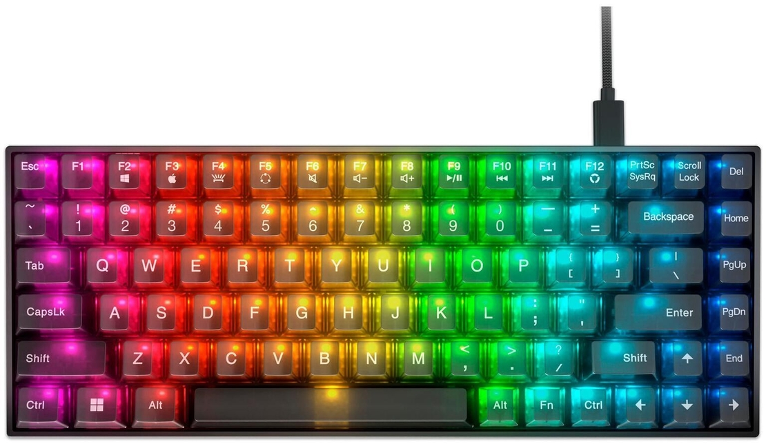 🎮גיימר PRO