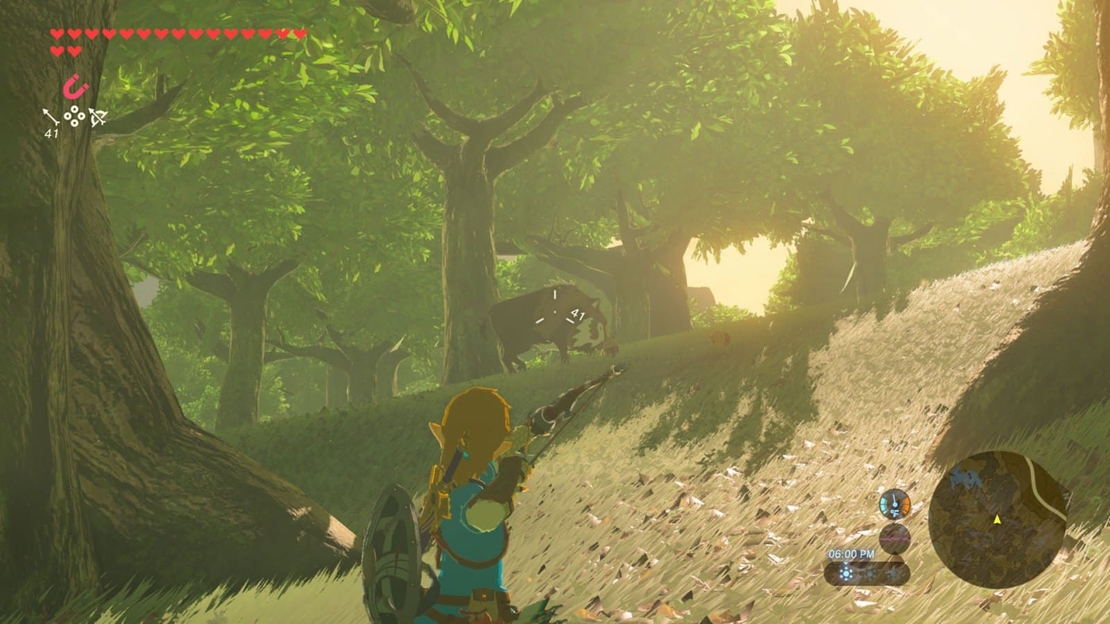 Nintendo Switch 2 -The Legend of Zelda: Breath of the Wild