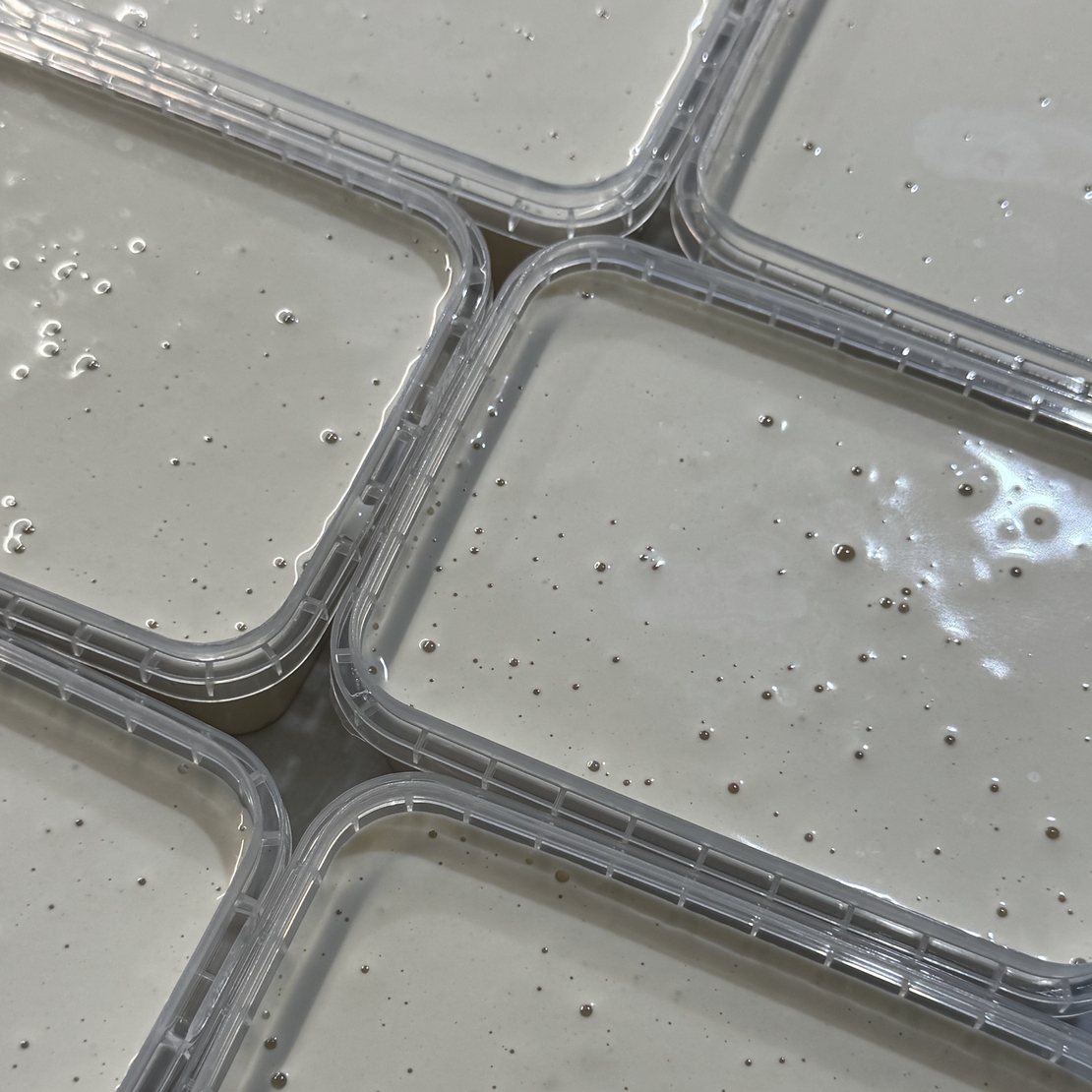 טחינה לימונית גלילית