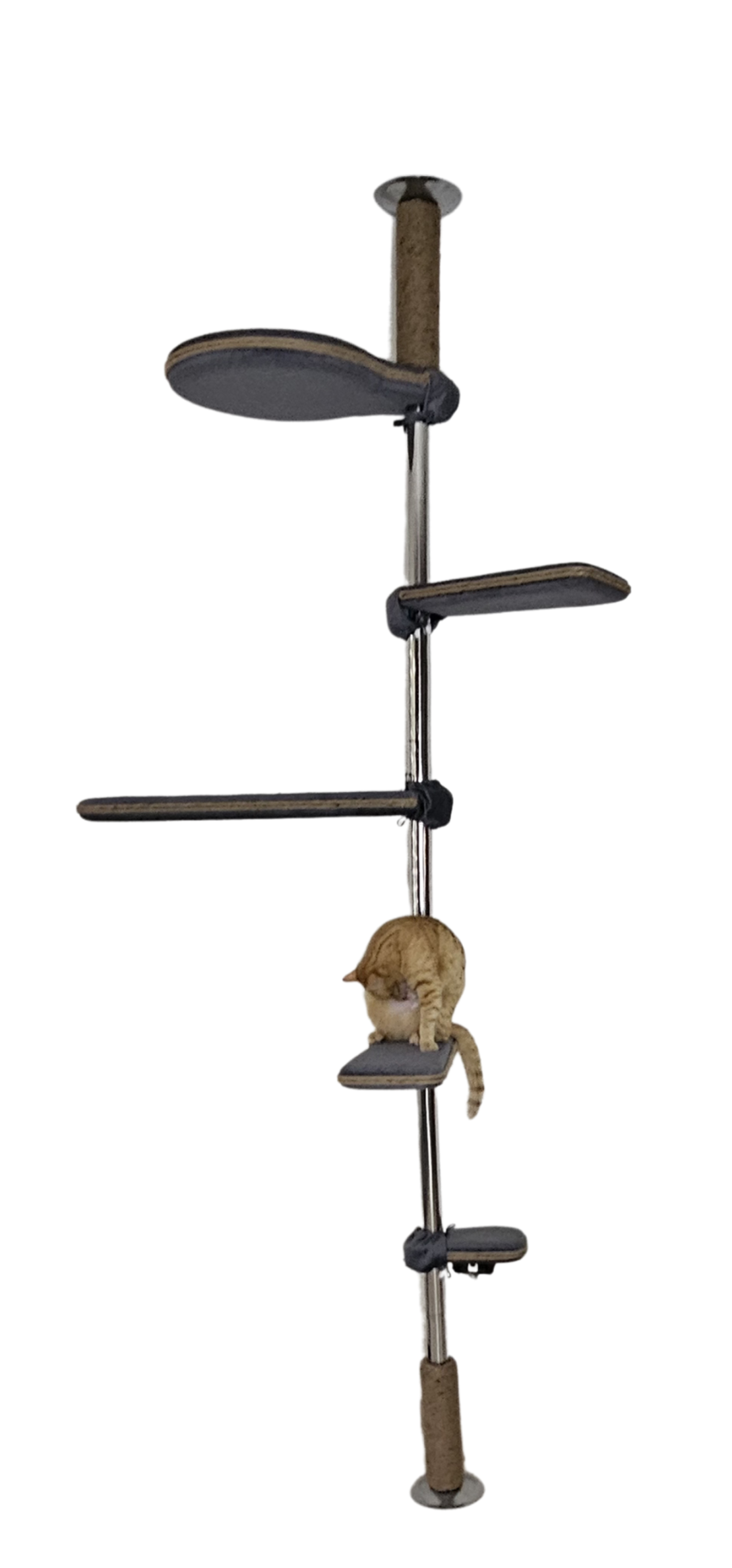 ערכה בסיסית