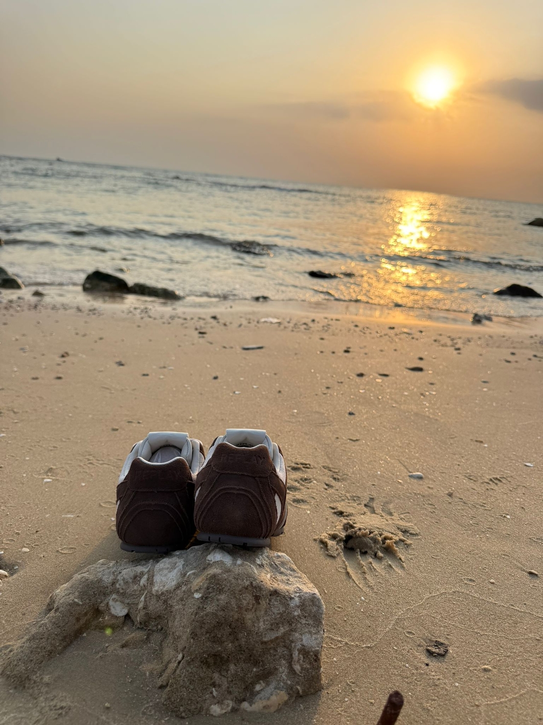 REPLAY - סניקרס לנשים COUNTRY ONE בהדפס מנומר חום