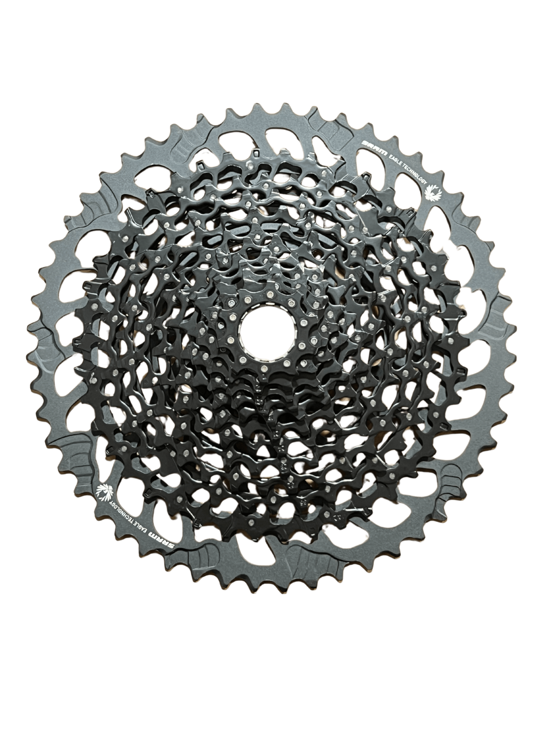 קסטה 12 הילוכים SRAM GX EAGLE